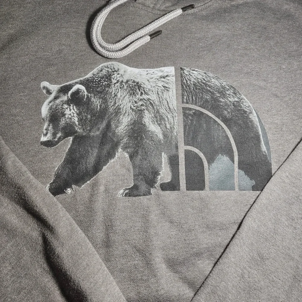 The North Face Mens XL Grizzly Bear Logo Graphic Pullover Hoodie Brown Gray